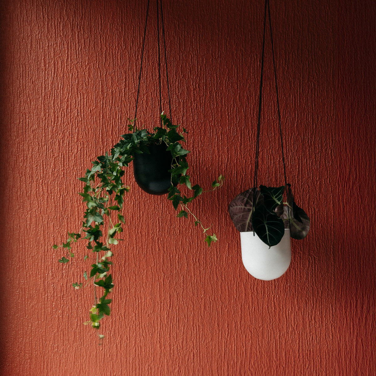 Duo hanging planter, black