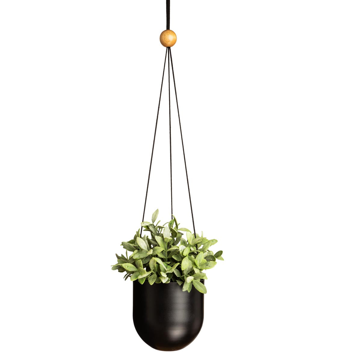 Duo hanging planter, black