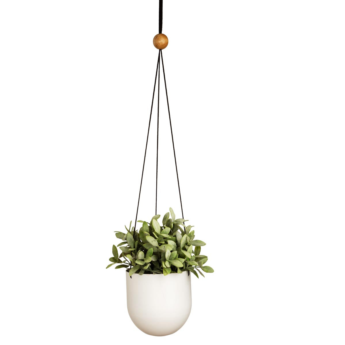 Duo hanging planter, white